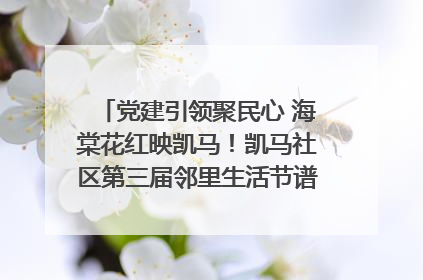 党建引领聚民心 海棠花红映凯马！凯马社区第三届邻里生活节谱写幸福新篇章
