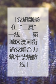 党旗飘扬在“三夏”一线——宛城区溧河街道党群合力筑牢禁烧防线