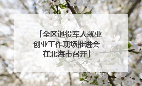 全区退役军人就业创业工作现场推进会在北海市召开