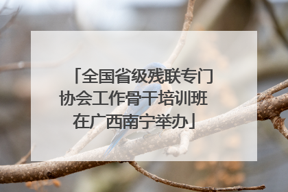 全国省级残联专门协会工作骨干培训班在广西南宁举办
