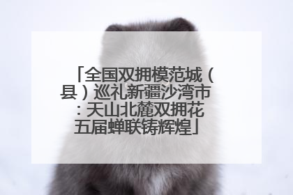 全国双拥模范城（县）巡礼新疆沙湾市：天山北麓双拥花 五届蝉联铸辉煌