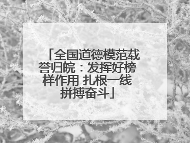 全国道德模范载誉归皖：发挥好榜样作用 扎根一线拼搏奋斗