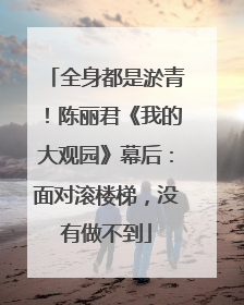 全身都是淤青！陈丽君《我的大观园》幕后：面对滚楼梯，没有做不到