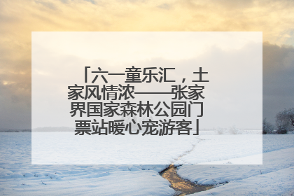 六一童乐汇，土家风情浓——张家界国家森林公园门票站暖心宠游客
