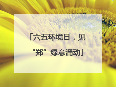 六五环境日，见“郑”绿意涌动