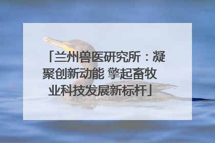 兰州兽医研究所：凝聚创新动能 擎起畜牧业科技发展新标杆