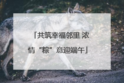 共筑幸福邻里 浓情“粽”意迎端午
