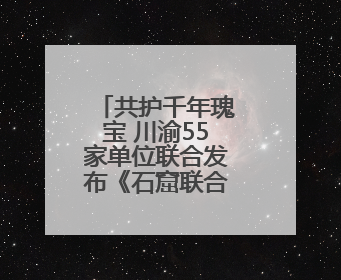 共护千年瑰宝 川渝55家单位联合发布《石窟联合保护倡议》