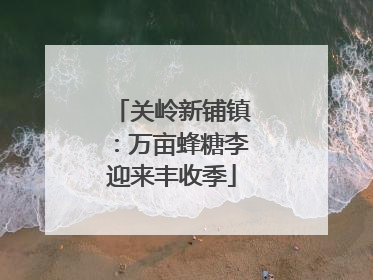 关岭新铺镇：万亩蜂糖李迎来丰收季