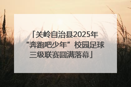 关岭自治县2025年“奔跑吧少年”校园足球三级联赛圆满落幕