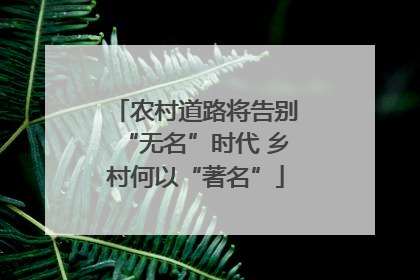 农村道路将告别“无名”时代 乡村何以“著名”
