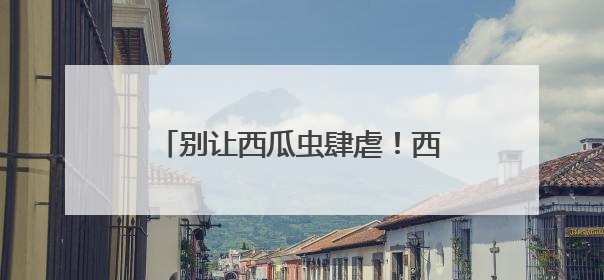 别让西瓜虫肆虐！西瓜虫怎么彻底消灭，潮虫用什么药最有效？
