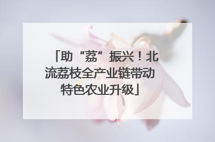 助“荔”振兴！北流荔枝全产业链带动特色农业升级