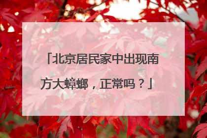 北京居民家中出现南方大蟑螂，正常吗？
