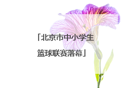 北京市中小学生篮球联赛落幕