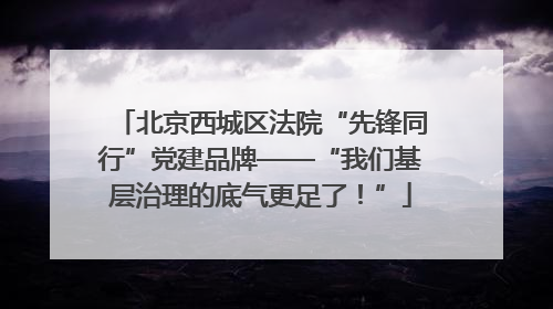 北京西城区法院“先锋同行”党建品牌——“我们基层治理的底气更足了！”