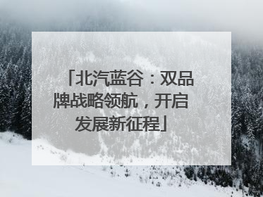 北汽蓝谷：双品牌战略领航，开启发展新征程