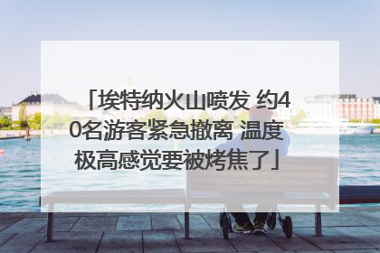 埃特纳火山喷发 约40名游客紧急撤离 温度极高感觉要被烤焦了