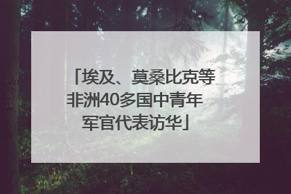 埃及、莫桑比克等非洲40多国中青年军官代表访华