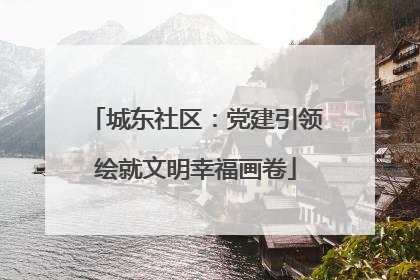 城东社区：党建引领绘就文明幸福画卷