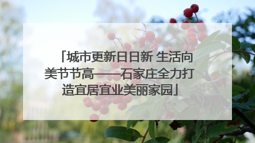 城市更新日日新 生活向美节节高——石家庄全力打造宜居宜业美丽家园