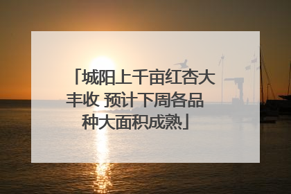 城阳上千亩红杏大丰收 预计下周各品种大面积成熟