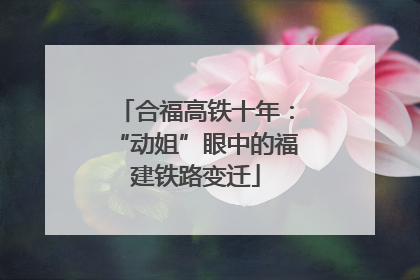 合福高铁十年：“动姐”眼中的福建铁路变迁