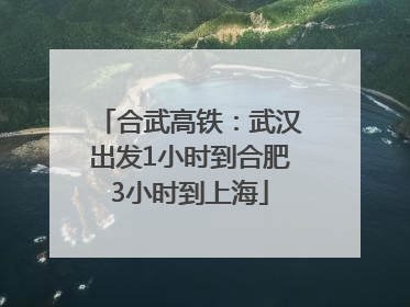 合武高铁：武汉出发1小时到合肥3小时到上海