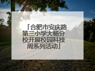 合肥市安庆路第三小学大杨分校开展校园科技周系列活动
