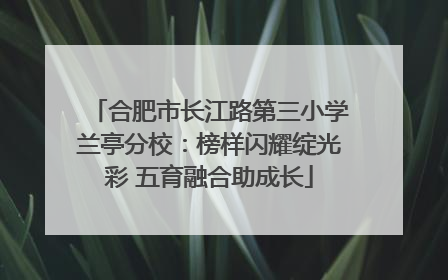 合肥市长江路第三小学兰亭分校：榜样闪耀绽光彩 五育融合助成长