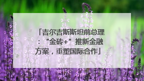 吉尔吉斯斯坦前总理：“金砖+”推新金融方案，重塑国际合作