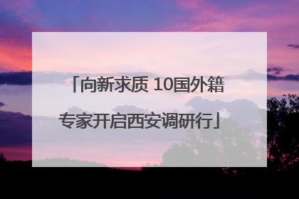 向新求质 10国外籍专家开启西安调研行