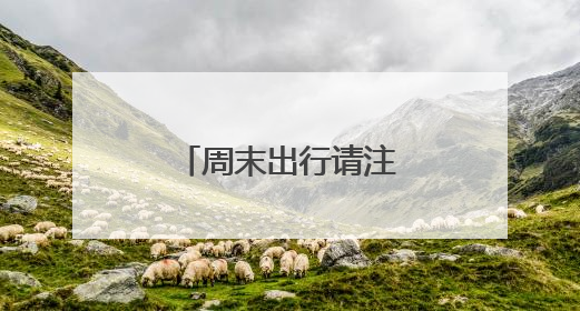 周末出行请注意！沈阳公安交警重要提醒！