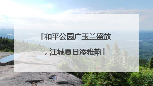 和平公园广玉兰盛放，江城夏日添雅韵