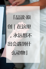 品读·原创｜在这里，永远想不出会遇到什么动物