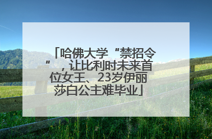 哈佛大学“禁招令”，让比利时未来首位女王、23岁伊丽莎白公主难毕业