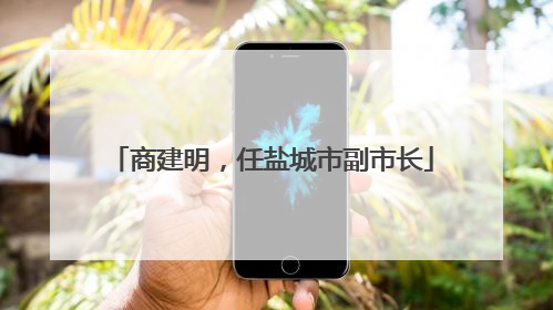 商建明，任盐城市副市长