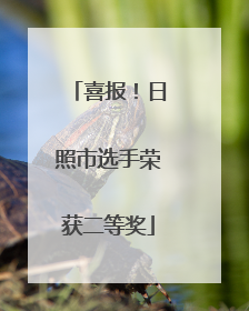 喜报！日照市选手荣获二等奖