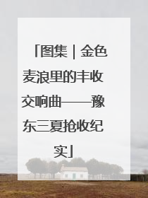 图集｜金色麦浪里的丰收交响曲——豫东三夏抢收纪实