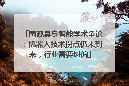 围观具身智能学术争论：机器人技术拐点仍未到来，行业需要纠偏
