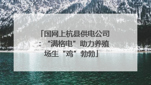 国网上杭县供电公司：“满格电”助力养殖场生“鸡”勃勃
