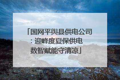 国网平舆县供电公司：迎峰度夏保供电  数智赋能守清凉
