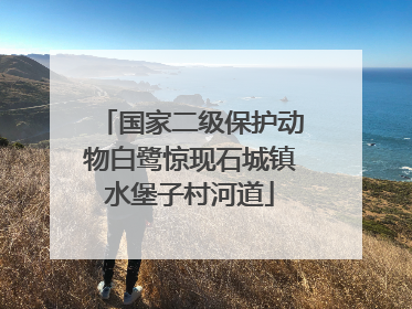 国家二级保护动物白鹭惊现石城镇水堡子村河道
