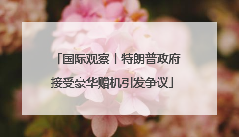 国际观察丨特朗普政府接受豪华赠机引发争议