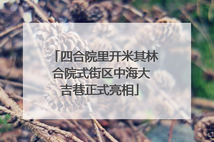 四合院里开米其林 合院式街区中海大吉巷正式亮相