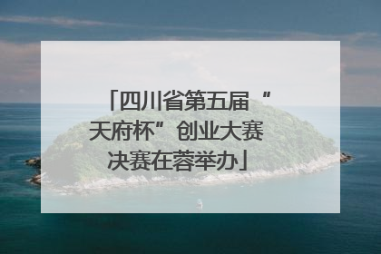 四川省第五届“天府杯”创业大赛决赛在蓉举办