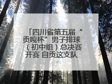 四川省第五届“贡嘎杯”男子排球（初中组）总决赛开赛 自贡这支队伍打进半决赛