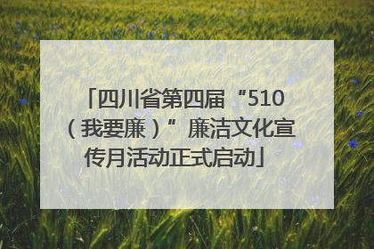 四川省第四届“510（我要廉）”廉洁文化宣传月活动正式启动