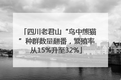 四川老君山“鸟中熊猫”种群数量翻番，繁殖率从15%升至32%
