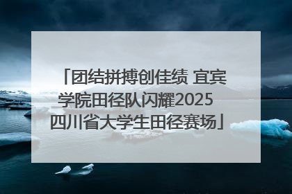 团结拼搏创佳绩 宜宾学院田径队闪耀2025四川省大学生田径赛场